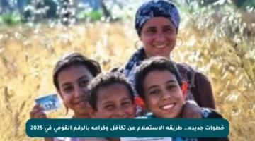 خطوات جديدة.. طريقة الاستعلام عن تكافل وكرامة بالرقم القومي في 2025